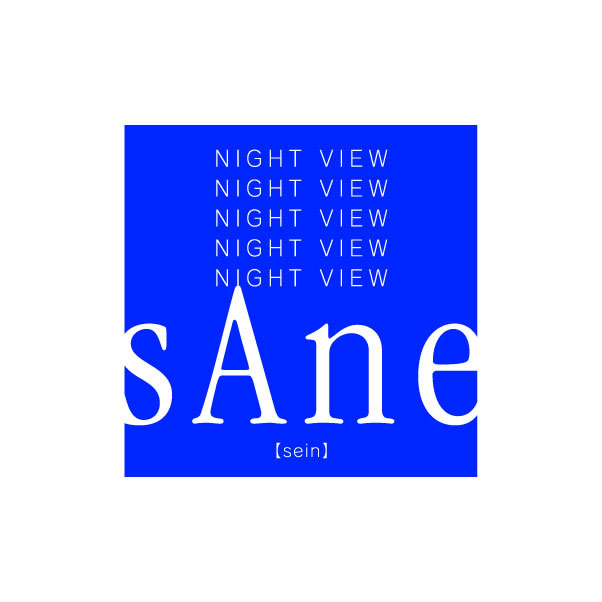 night view SANE